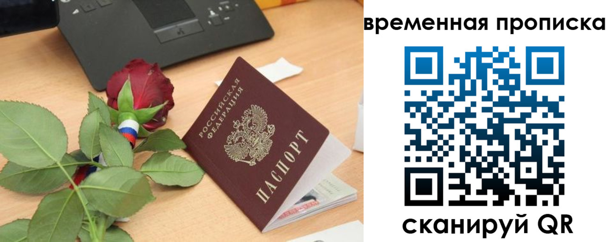 временная регистрация поиск в Геленджике